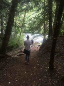 Forest Bathe for Your Well-Being Image